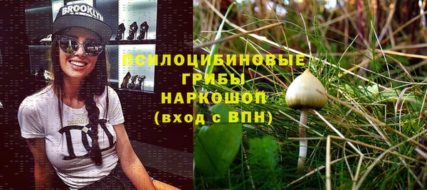 герыч Арсеньев